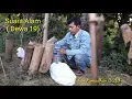 Download Lagu DEWA 19 suara alam