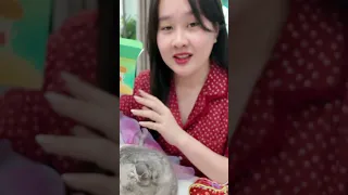 nhacona - Chuyện trung thu 2025 #shorts #cat #mèo