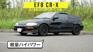 EF8型CR X SiR 今見ると群を抜いて低い全高に驚きます 視界は良好で広々感あるのが意外でした 