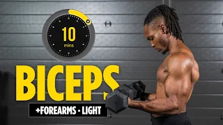 10-Min Lightweight Dumbbell Biceps & Forearms | No Bench, No Repeats