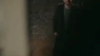 دايما في بالي وبعد الليالي 