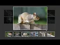 How To Create Image Gallery In HTML CSS and Javascript Lightbox Gallery