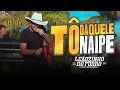 Download Lagu Leãozinho do Forró || Tô Daquele Naipe || Vídeo Oficial 🤠