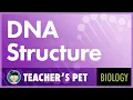Download Lagu DNA Structure