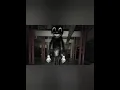 Cartoon Cat \u0026 Cartoon Dog (with cartoon cat music)