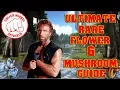 ARK ULTIMATE RARE FLOWER MUSHROOM GUIDE