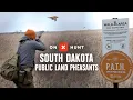Pheasant Hunting South Dakota s Best Public Lands onX Hunt