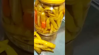 مخلل الفلفل الحار           وصفات طبخ  مخليلات سريعه        دندنها