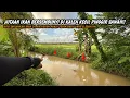 Lagu JUTAAN IKAN BERSARANG DI KALEN PINGGIR SAWAH INI!! Mancing wader teknik pecut umpan uler kandang