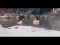 Download Lagu 小夥泡澡練功，邂逅絕色美女洗澡！ #最新電影 #最新電視劇 #最新古裝劇 #热播剧 #逆襲 #爽文 #打臉 #爽劇