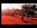 Download Lagu Callmeinsane - Sayang (Visualizer)