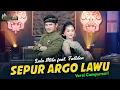 Download Lagu Karaoke Campursari Sragenan _ SEPUR ARGOLAWU (HQ)