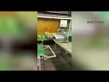 Lily processing on Bercomex Flowerlines