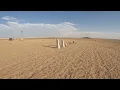 Wind Erosion and a Dust Bowl Era Cemetery