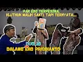 Download Lagu JO KLUTHUK MUNDHAK SAKTI - DUO JO KLITHIK JO KLUTHUK VS DALANG EKO