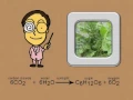 THE PHOTOSYNTHESIS SONG