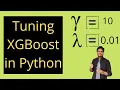 Tuning XGBoost in Python Running XGBoost in Python How to run XGBoost in python