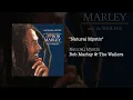 Natural Mystic (1995) - Bob Marley & The Wailers