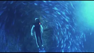 SAILING SECRET REMOTE and OFF GRID New Zealand – Ep – 32