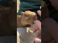 The cutest at Animal Adventures in Bolton MA