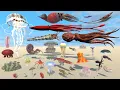 Lagu Realistic Mollusk Vs Jellyfish Size Comparison - 3D Animation Comparison