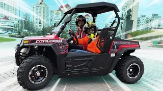                                     دندنها