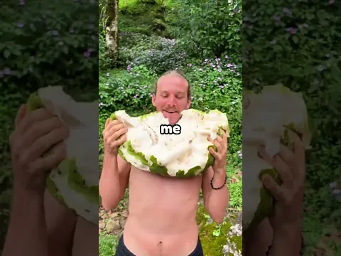DO NOT TOUCH SOUND 😭