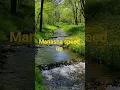 Download Lagu manasha speed up
