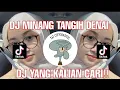 Download Lagu DJ TANGIH DENAI DUDUAK JANJANG DI PALAMINAN |DJ FYP TIKTOK 2022‼️INI YANG KALIAN CARI‼️