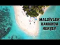 THINGS TO DO IN THE MALDIVES WHAT YOU NEED TO KNOW SHARKS PRICES AND ISLANDS