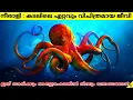 Download Lagu Octopus: An Alien Like Ocean Creature | Amazing Animals | Facts Malayalam | 47 ARENA
