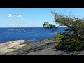 Shehure - Ori Vidislavski (Lynne Publishing)