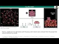 FHI-aims Webinar Density Functional Theory Approaches for Modeling Heterogeneous Catalysis