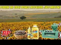 Lagu RAHASIA DI BALIK MINYAK GORENG SEHAT | BEGINI PROSES SUNFLOWER OIL DIBUAT DI PABRIK CANGGIH