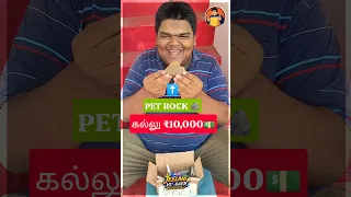 🪨 Pet Rock ஒரு கல்லோட விலை இவ்வளவா..🤔💯🤩