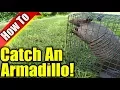 Armadillo Trap How To Get Rid Of Armadillos
