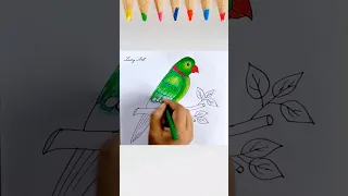 Parrot Drawing How to Draw Parrot Easy Bird Drawing