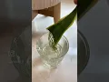 Download Lagu 😱 Snake Plant propagation!