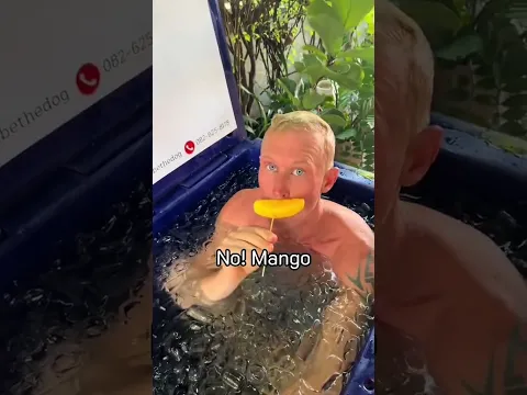 Who loves mangos? 🥭