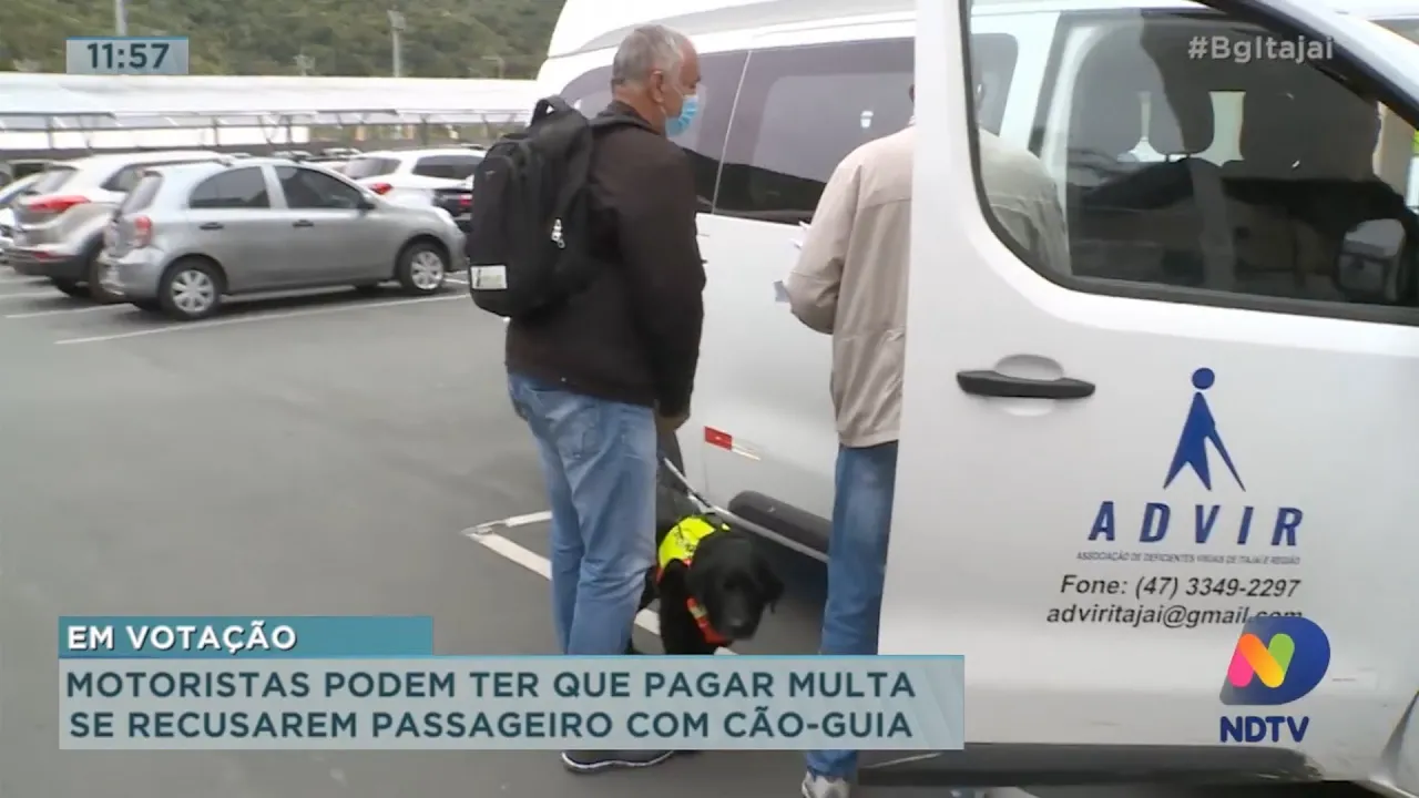 Motoristas podem ter que pagar multa se recusarem passageiro com cão-guia