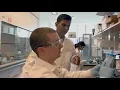 Cancer Immunotherapy Research at UMass Amherst