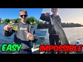 Ranking the EASIEST HARDEST Fish to Catch in the Midwest