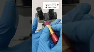 أحمر الشفاه تحت الميكروسكوب Lipstick Makeup 