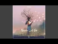 Download Lagu Never Let Go