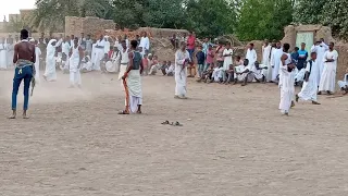 حفله محمد بكري البدواب الفاضلاب 