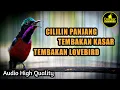 Download Lagu KONIN FULL TEMBAKAN KASAR, PANJANG, CILILIN, LOVEBIRD,  MASTERAN EFEKTIF KOLIBRI NINJA GACOR NEMBAK