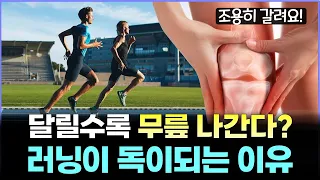 러닝하면 무릎이 망가진다? 물리치료학 박사가 말하는 “진짜”원인. | 무릎 통증 없는 러닝 비법.