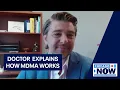 Molly and mental health How the drug is making waves in the medical world