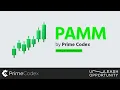 Download Lagu How to Use PAMM - Investment Platform by Prime Codex