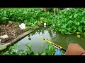 Lagu Ngeri...Mancing di samping jembatan pinggir jalan penghuninya ikan besar besar